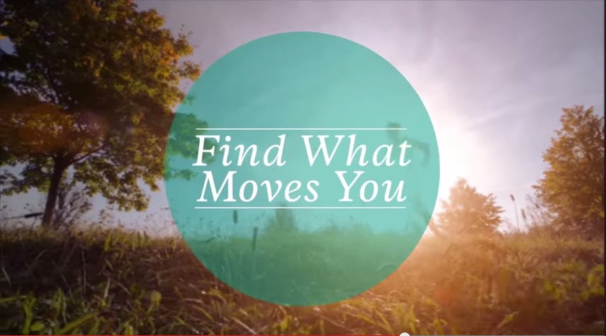 Findwhatmoves You